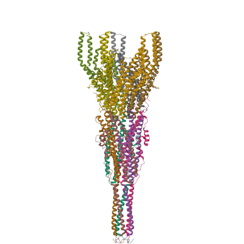 RCSB PDB - 8RT9: Stalk complex full-length structure (TrwJ/VirB5-TrwI ...