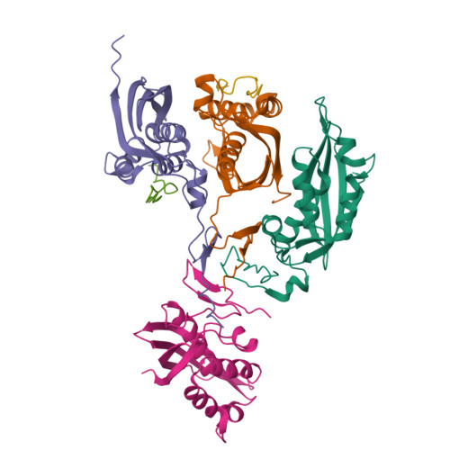 RCSB PDB - 8RTA: Arches-protomer complex full-length structure (TrwJ ...