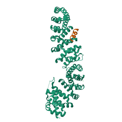 RCSB PDB - 8RU3: Crystal structure of beta-catenin in complex with