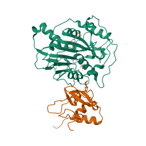 Rcsb Pdb Rv Sars Cov Nsp Nsp In Complex With Sam Derivative Inhibitor