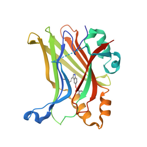 Rcsb Pdb 8rxq Tead2 With An Inhibitor Rcsb Pdb 8rxq Tead2 With An Inhibitor