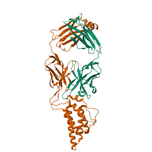 d*a様 Distinction I II III Ⅳ V structures RCSB PDB - 4O5N: Crystal structure of A/Victoria/361/2011