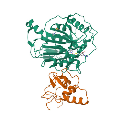 Rcsb Pdb 8rzc Sars Cov 2 Nsp16 Nsp10 In Complex With Sam Derivative Inhibitor 11