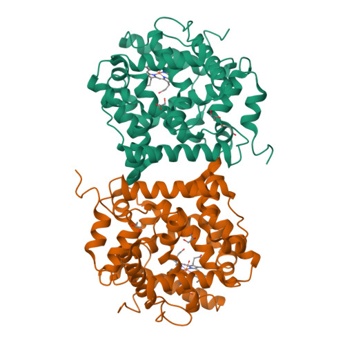 Rcsb Pdb 8s1j Crystal Structure Of T Anethole Oxygenase From 4520