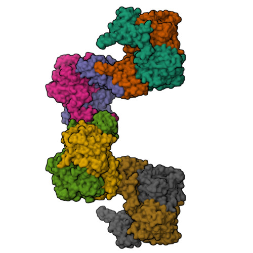 RCSB PDB - 8S5H: Full-length human cystathionine beta-synthase with C ...