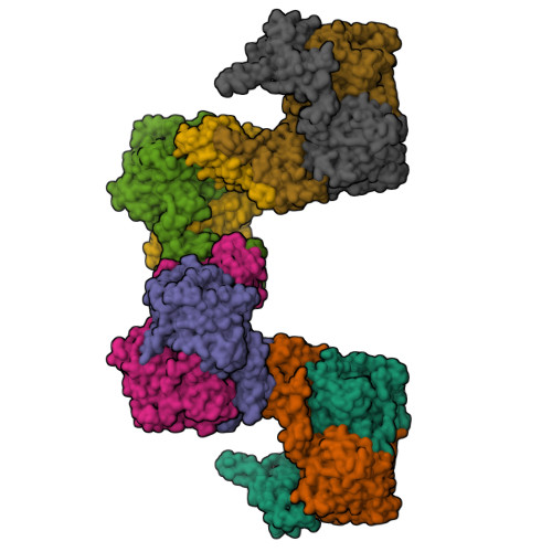 RCSB PDB - 8S5K: Full-length human cystathionine beta-synthase, basal ...