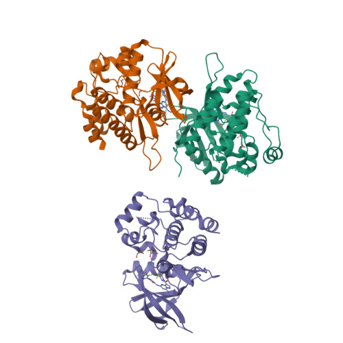RCSB PDB - 8S99: Crystal structure of the TYK2 pseudokinase