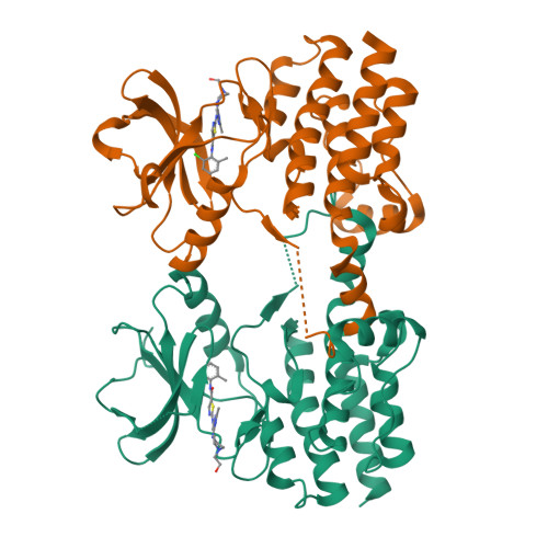 RCSB PDB - 8S9F: Crystal structure of the kinase domain of Bruton's ...