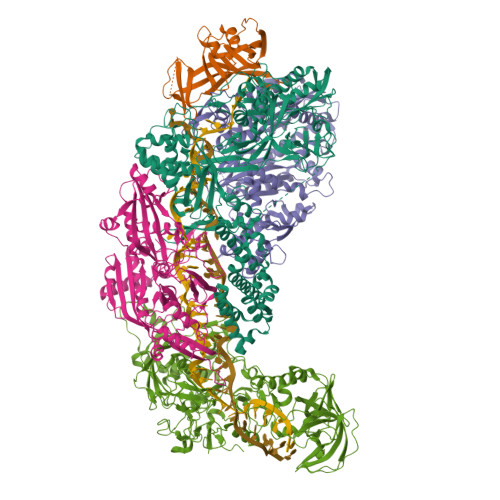 RCSB PDB - 8S9V: CRISPR-Cas type III-D effector complex bound to a self ...