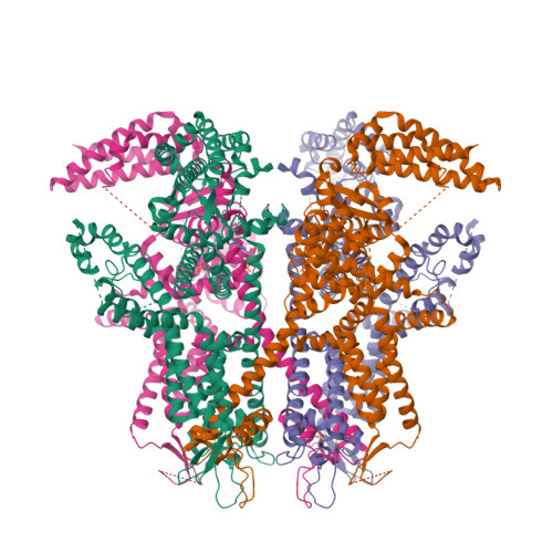 Rcsb Pdb 8sex Cryo Em Structure Of Ryr1 Amp Local Refinement Of Tmd 5465