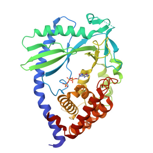 RCSB PDB - 8SHK: Structure of binary complex of mouse cGAS and bound ATP