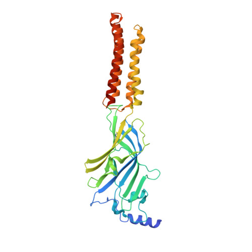 RCSB PDB - 8SI9: Human GABAA receptor alpha1-beta2-gamma2 subtype in ...