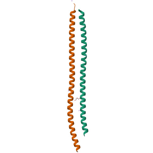 PDB 8SJJ
