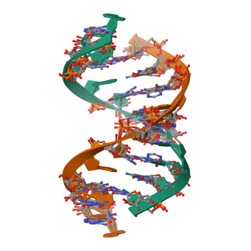 RCSB PDB - 8SKQ: RNA oligonucleotide containing an alpha-(L ...