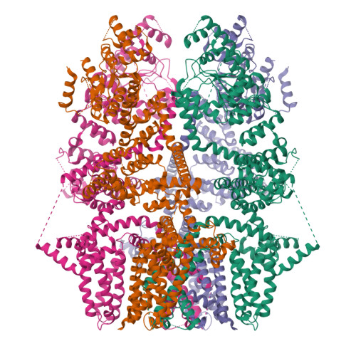 RCSB PDB - 8SL8: Cryo-EM structure of the rat TRPM5 channel in trace ...