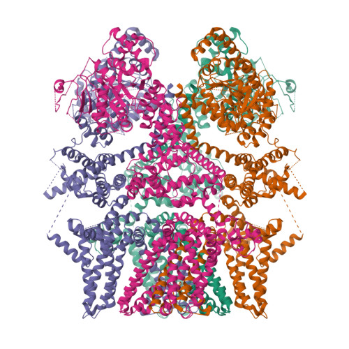 RCSB PDB - 8SLA: Cryo-EM structure of the rat TRPM5 channel in trace ...