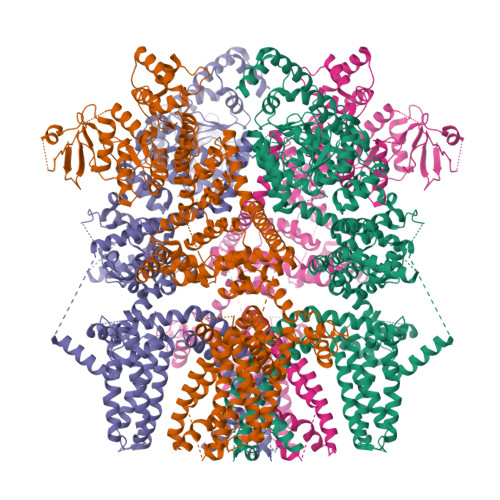 RCSB PDB - 8SLE: Cryo-EM structure of the rat TRPM5 channel in trace ...