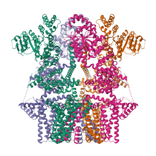 RCSB PDB - 8SLI: Cryo-EM structure of the rat TRPM5 channel in 2mM ...