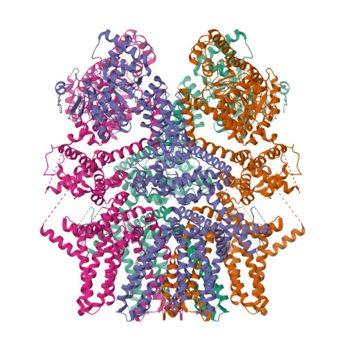 Trpm5 RCSB PDB - 8SLP: Cryo-EM structure of the rat TRPM5 channel in 2mM ...
