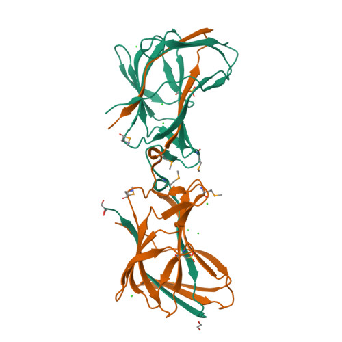 RCSB PDB - 8SMQ: Crystal Structure of the N-terminal Domain of the ...