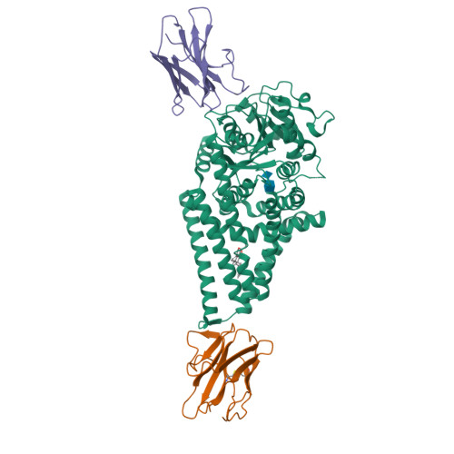 RCSB PDB - 8SNC: Chlorella virus Hyaluronan Synthase bound to GlcA ...