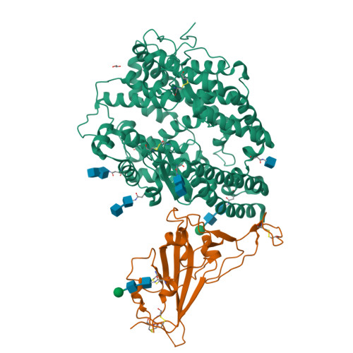 RCSB PDB - 8SPH: Crystal structure of chimeric omicron RBD (strain XBB ...