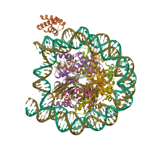 RCSB PDB - 8SPU: Structure Of ESRRB Nucleosome Bound OCT4 At Site C