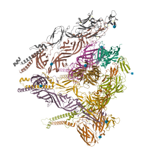 RCSB PDB - 8SQN: CryoEM structure of Western equine encephalitis virus ...