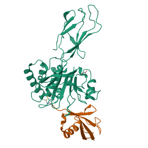 RCSB PDB - 8SSI: Structure of Burkholderia pseudomallei deubiquitinase ...