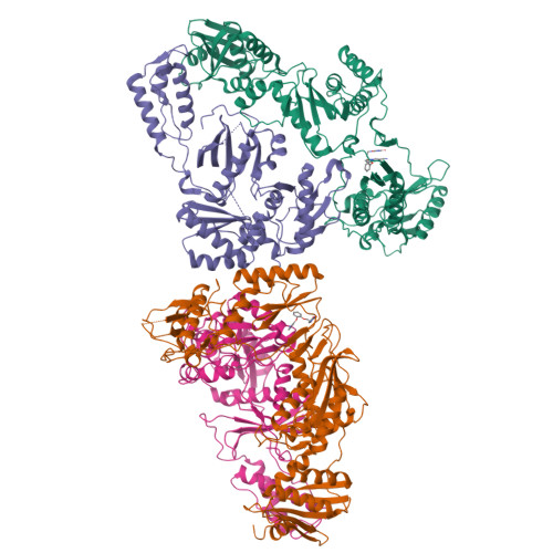 RCSB PDB - 8STT: Crystal Structure of HIV-1 Reverse