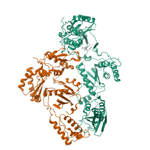 RCSB PDB - 8STU: Crystal Structure of HIV-1 Reverse Transcriptase