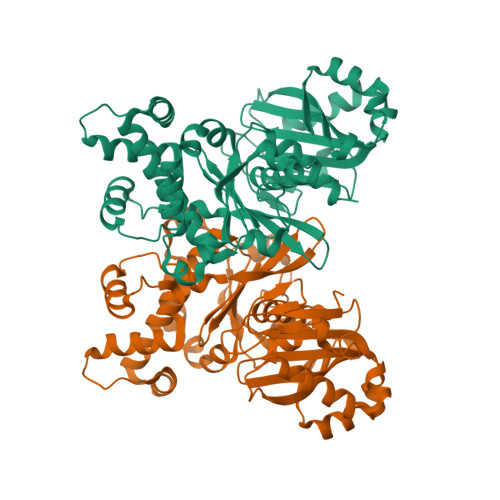 Rcsb Pdb 8stx Crystal Structure Of The F337a Mutation Of Trypanosoma Cruzi Glucokinase In The 3495