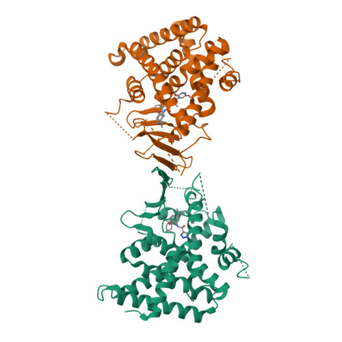 RCSB PDB - 8SVP: Crystal structure of pregnane X receptor ligand ...