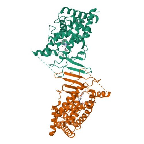 RCSB PDB - 8SVQ: Crystal structure of pregnane X receptor ligand ...