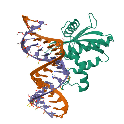 RCSB PDB - 8SWB: RNase H complex with streopure ASO and RNA