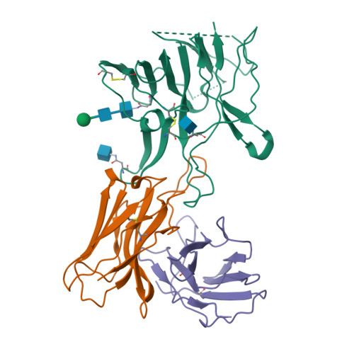 RCSB PDB - 8SWH: Local refinement of SARS-CoV-2 (HP-GSAS-Mut7) spike ...