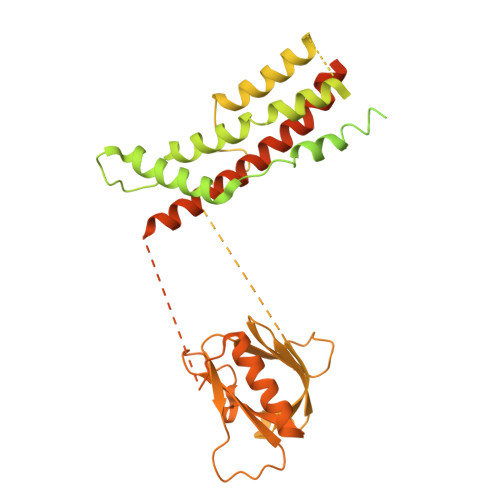 RCSB PDB - 8SZ7: Cryo-EM of the GDP-bound human dynamin polymer ...