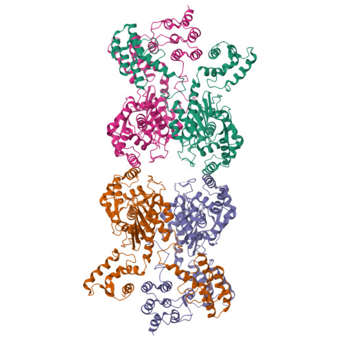 Rcsb Pdb Szl Human Liver Type Glutaminase Apo Form