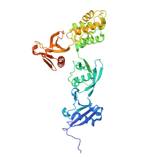 RCSB PDB - 8T0A: Crystal structure of integrin beta-2 tail bound to the ...