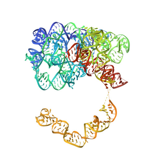 RCSB PDB - 8T2R: Structure of a group II intron ribonucleoprotein in ...