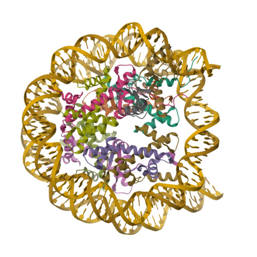 RCSB PDB - 8T3T: Structure of Bre1-nucleosome complex - state3