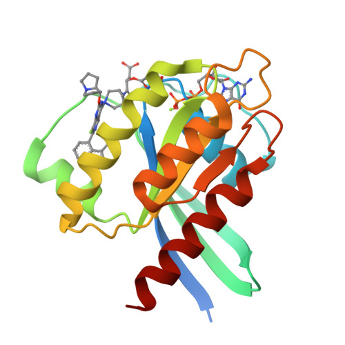 RCSB PDB - 8T4V: Crystal structure of compound 1 bound to K-Ras(G12D)