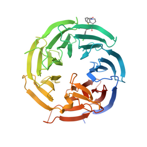 RCSB PDB - 8T55: Co-crystal Structure Of The WD-repeat Domain Of Human ...