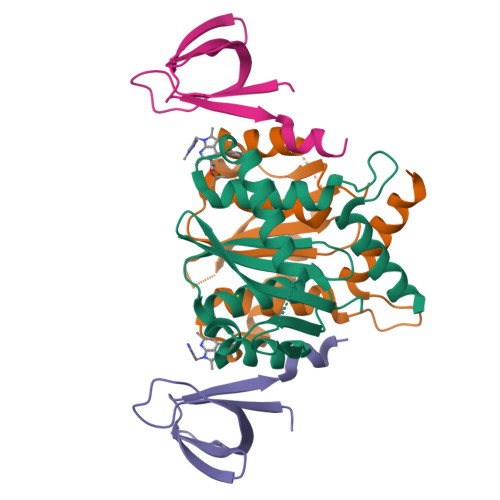 RCSB PDB - 8T5B: HIV-1 Integrase Catalytic Core Domain and C-Terminal ...