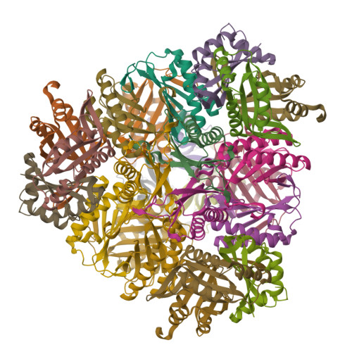 Rcsb Pdb - 8t6c: Crystal Structure Of T33-18.2: Deep-learning Sequence 