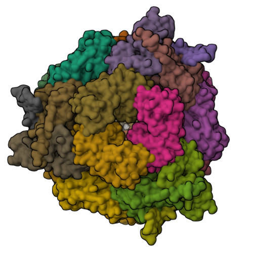 Rcsb Pdb - 8t6n: Crystal Structure Of T33-27.1: Deep-learning Sequence 