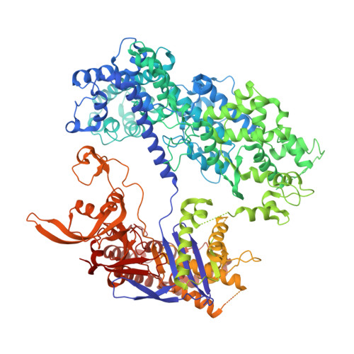 RCSB PDB - 8T6P: SpRY-Cas9:gRNA complex targeting TAC PAM DNA with