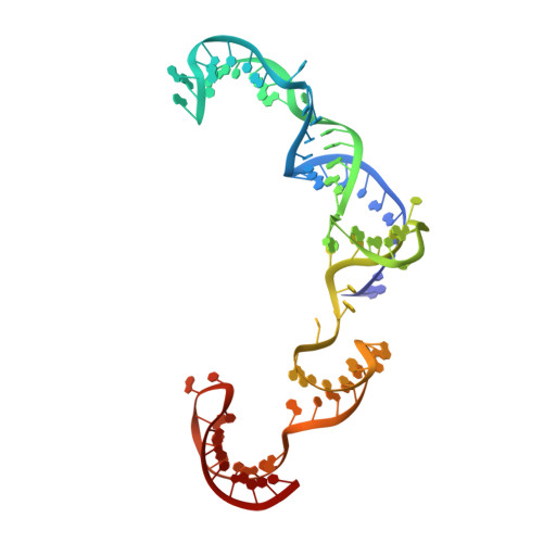 RCSB PDB - 8T6P: SpRY-Cas9:gRNA complex targeting TAC PAM DNA with