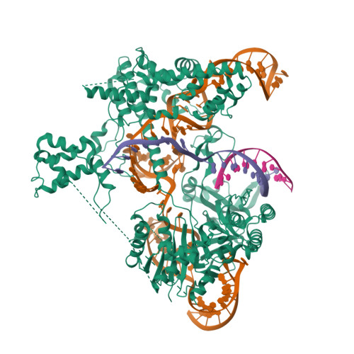 RCSB PDB - 8T78: SpRY-Cas9:gRNA complex bound to non-target DNA