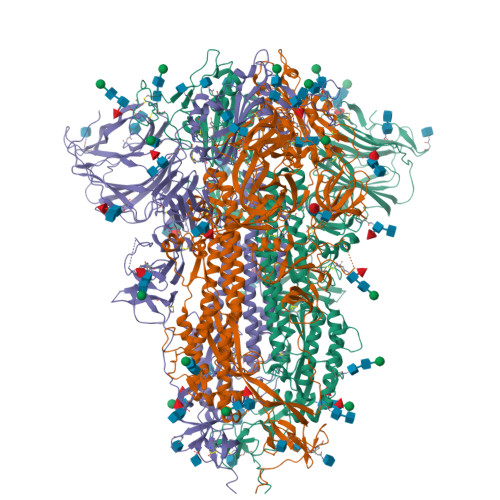 RCSB PDB - 8TC0: Cryo-EM Structure of Spike Glycoprotein from Bat ...